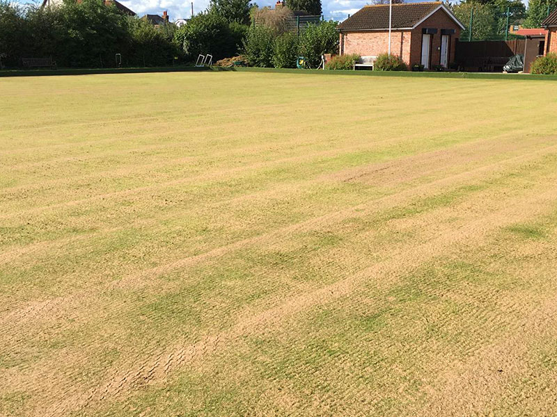 Scarification at Bowls Green