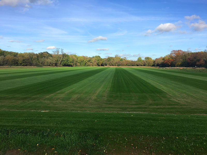 Ground Maintenance 2